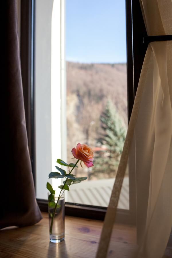 Отель Baron SPA Hotel - Museum Yaremche Яремче