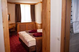 Отель Baron SPA Hotel - Museum Yaremche Яремче Двухместный номер с 1 кроватью или 2 отдельными кроватями-1
